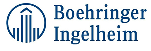 BoehrIngel_logo